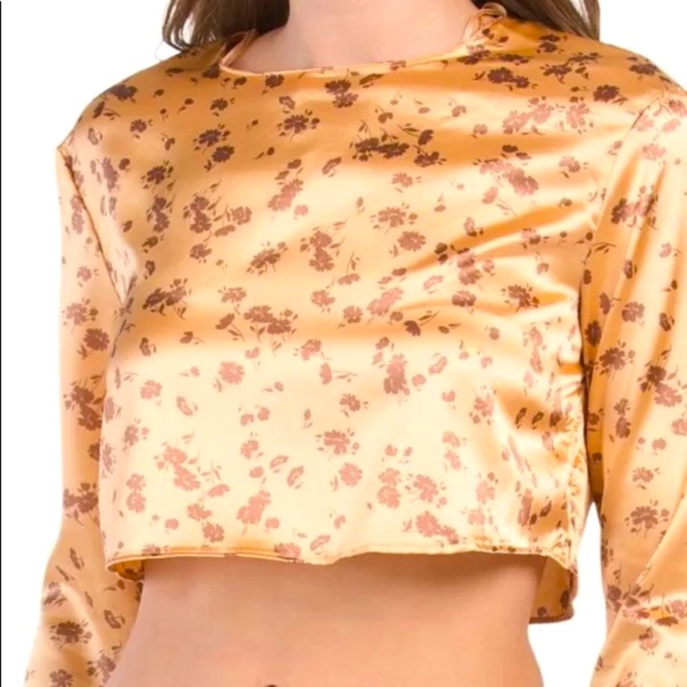 Zara cropped satin long sleeve top, brown flowers